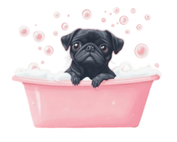 thelaundromutt.co.za